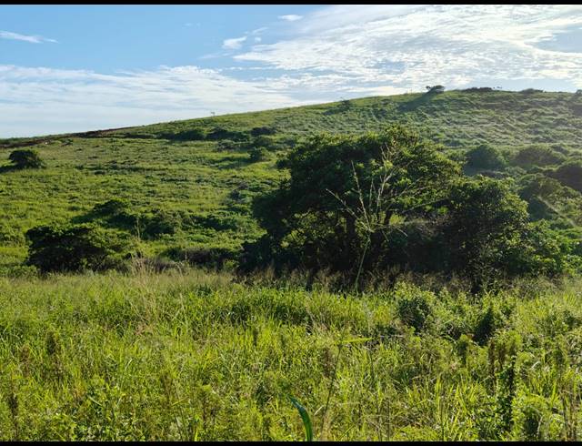 1,334M² VACANT LAND FOR SALE IN SEATON ESTATE